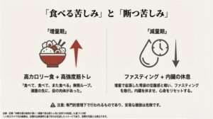 高強度筋トレと食事の無限ループによる増量期と、内臓を休ませ心身をリセットするファスティング期の対比図