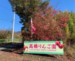 高橋光成のりんご園がどこか確認して聖地へ